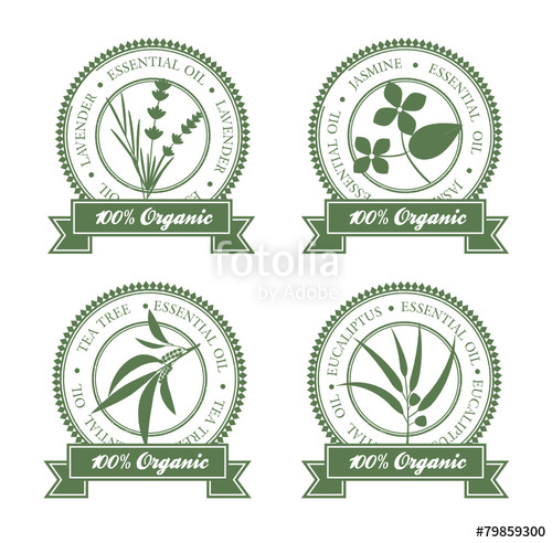 Essential Oil Label Template Essential Oil Label Template