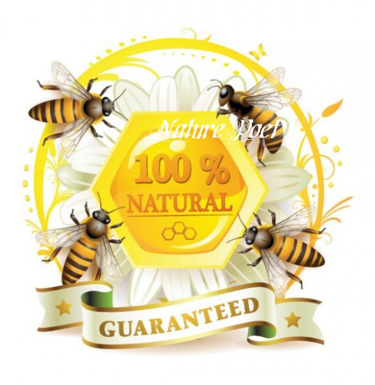 Best 25+ Honey label ideas on Pinterest | Honey packaging, Honey Best 25+ Honey label ideas on Pinterest | Honey packaging, Honey